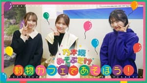 Episode 19