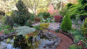 Episode 11 Resourceful Renters, Weeds in Pavers & Autumn Jobs