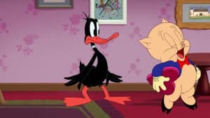Duck Chocolate