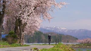 Akita - Discovering the Traditions of the North