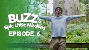 Honey Hunts, the Worlds biggest Tree, and Diving Fun!