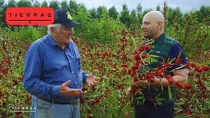 Episode 2