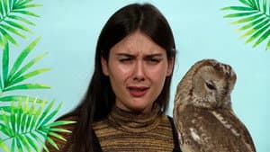 Patti Reviews Exotic Animals: Snowy Owl
