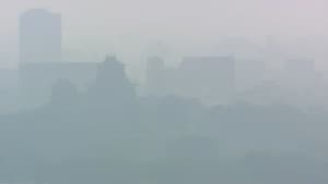 PM2.5