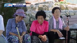Episode 29