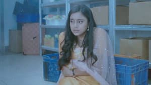 Search For Kavya