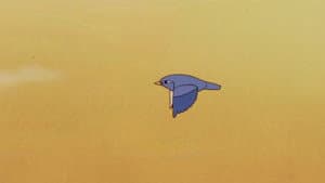 Where Is Pichi?