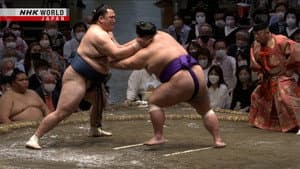 Day 7