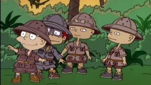 The Jungle