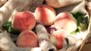 Peaches