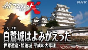 Episode 33
