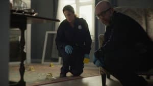 Deadly House Call