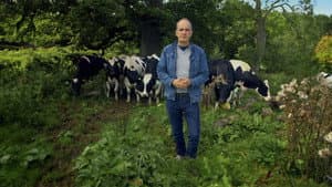 Somerset: The Concrete Cow-Shed