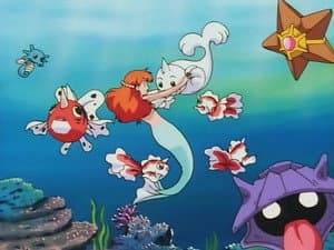The Misty Mermaid