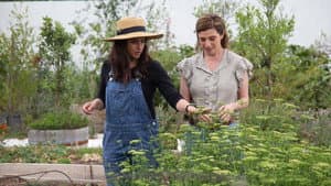 Pioneering From Farm to Table