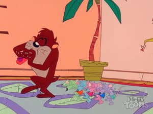 The Pied Piper of Taz-Mania