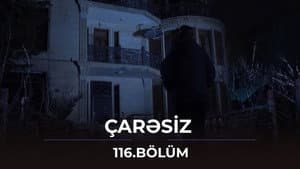 Episode 116