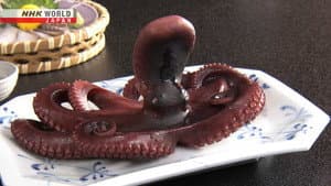 Octopuses