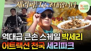 Episode 25