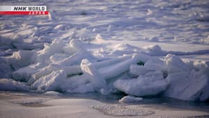 Sea of Okhotsk: Blessings of the Drift Ice