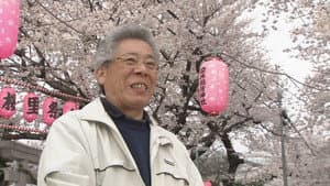 Tokyo in Springtime: The Taste of Tradition