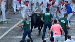 Segundo Encierro - Cebada Gago