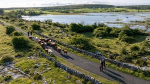 Killarney & Burren