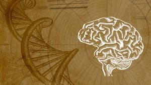 Subconscious Programming