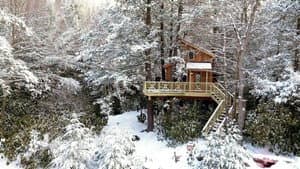 Ultimate Giveaway - Treehouse Special