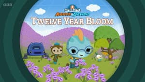 Twelve-Year Bloom