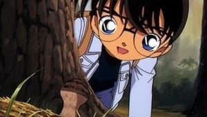 Episode 229