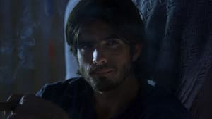 Human Error