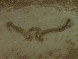 The Tale of the Jagged Sign