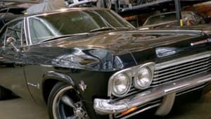 Night Prowler