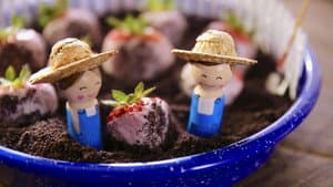 Farm Harvest Treats