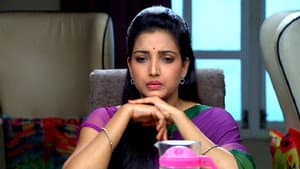 Vasant Goes Missing