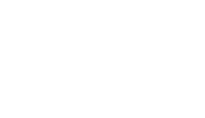The Future Diary