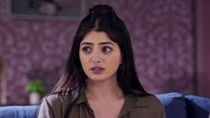 Karthik Respects Vrinda's Decision