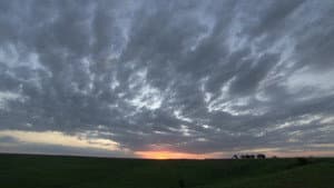 We Live with the Land