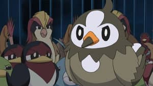 A Staravia Is Born!