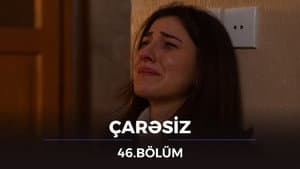 Episode 46