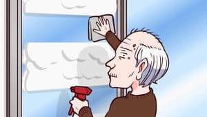 Window