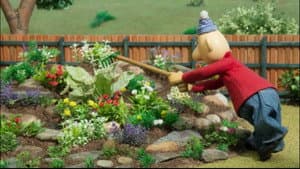 Rock Garden