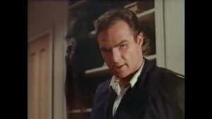 The Living End of Sisterbaby