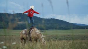 The Métis of Alberta