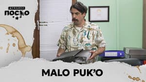 2536 Malo puk'o