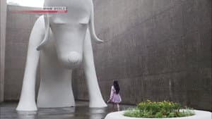 Close to ART: Aomori Museum of Art