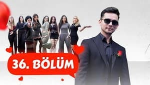 Episode 36