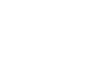 The Crow Girl