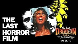 The Last Horror Film